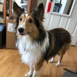 Meet your Posher, Sandra